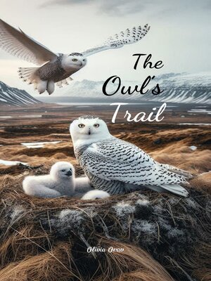 cover image of The Owl's Trail